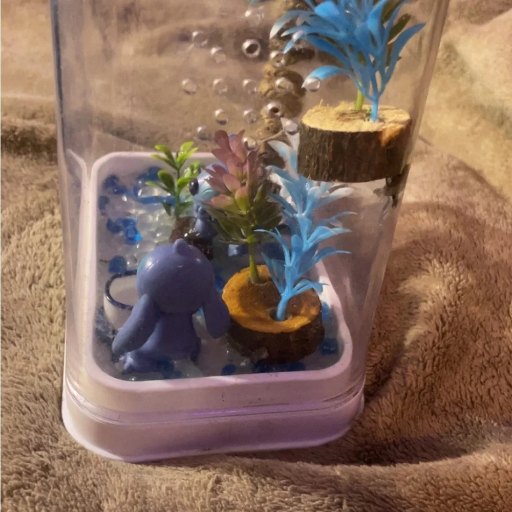 Custom jumping spiders enclosure
